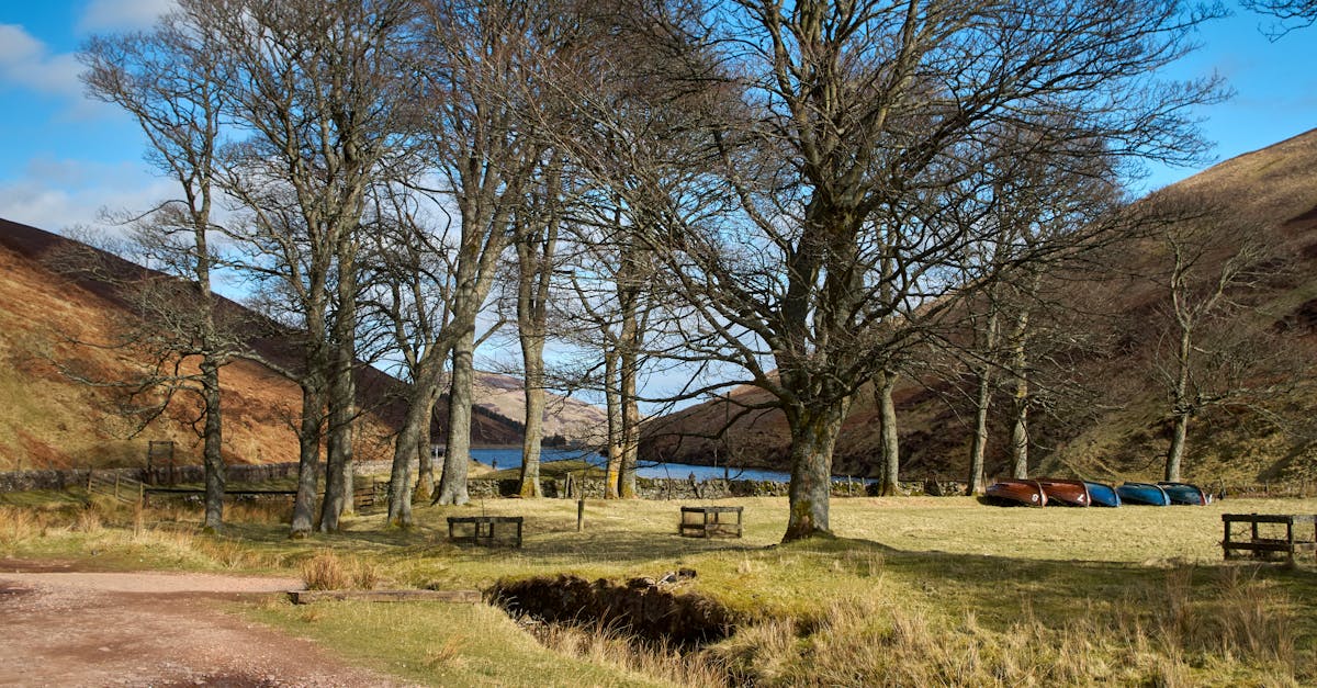 Secluded Retreats for Large Groups
